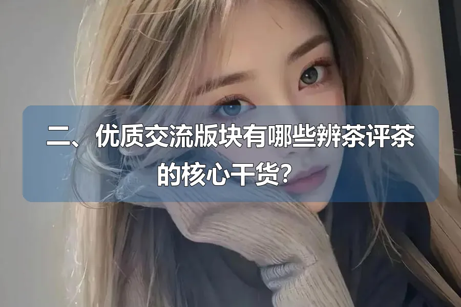 二、优质交流版块有哪些辨茶评茶的核心干货？